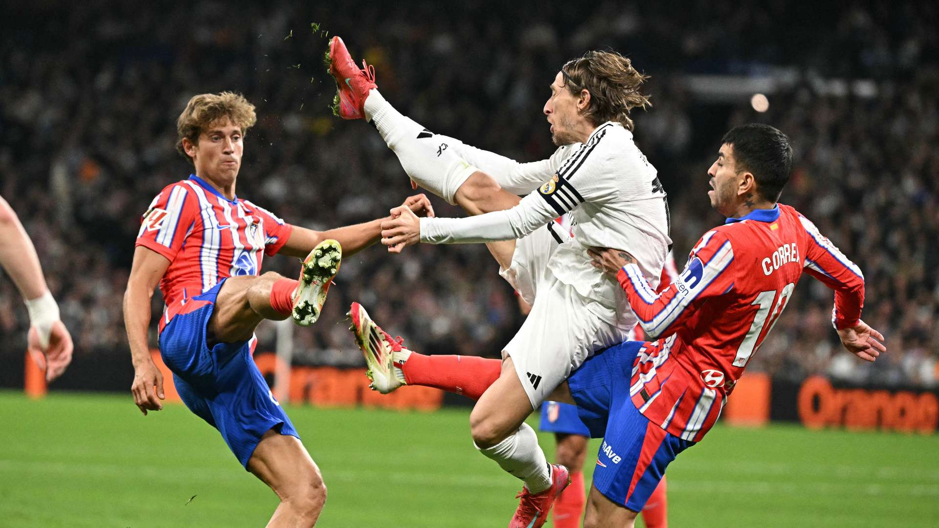 让他在外界 让他在外界