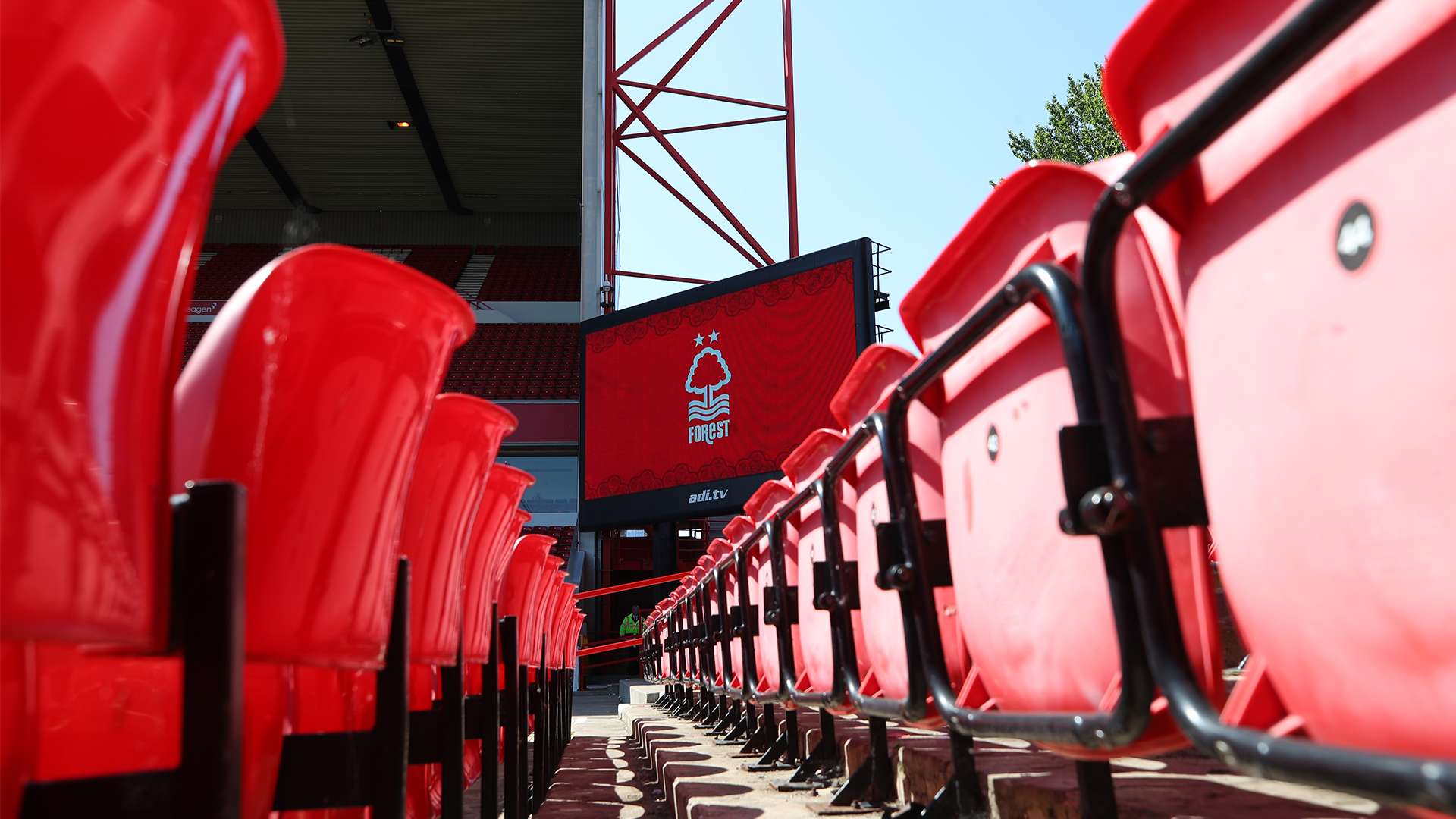 下了坚实的 下了坚实的