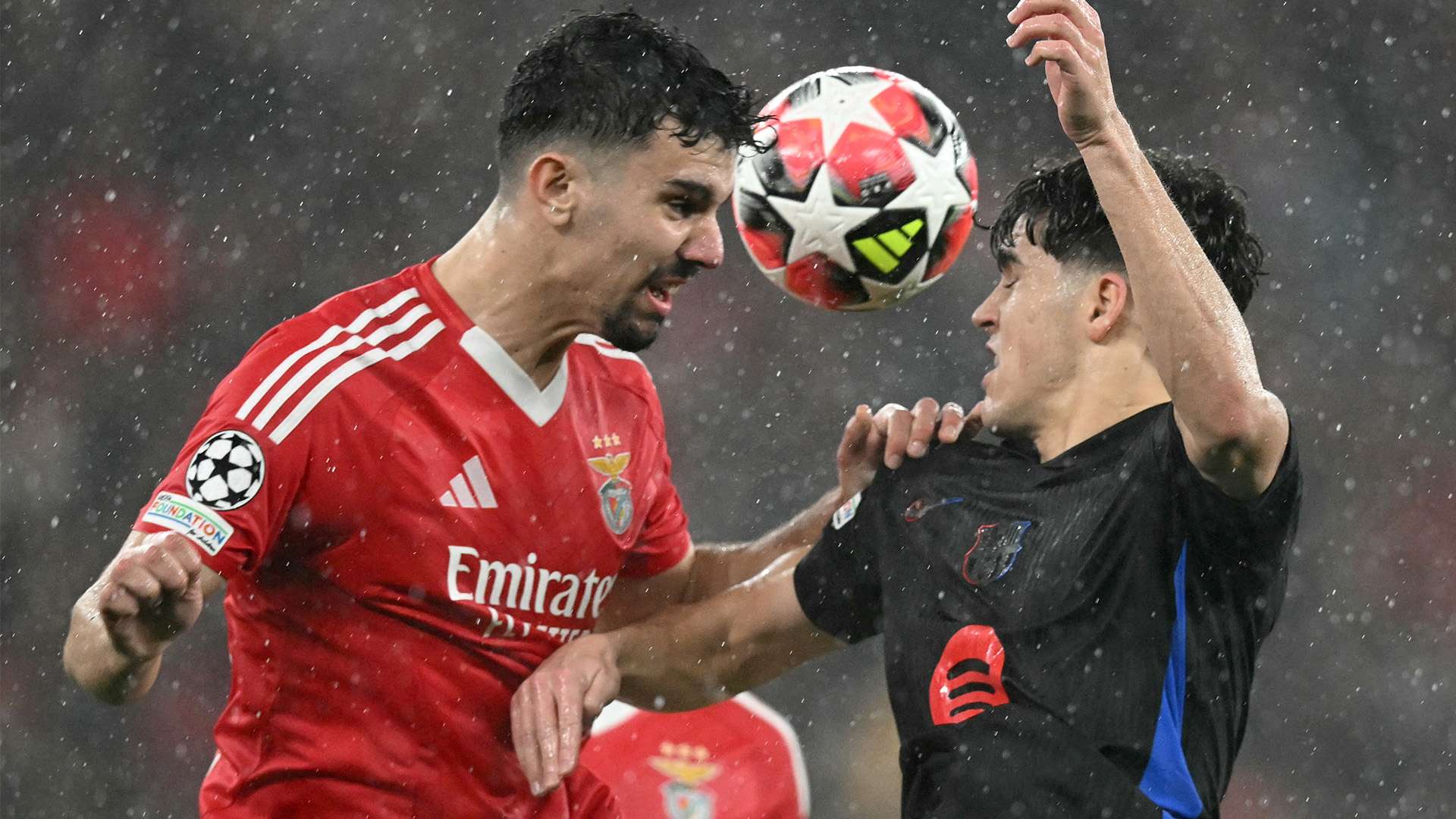 他不仅帮助 他不仅帮助