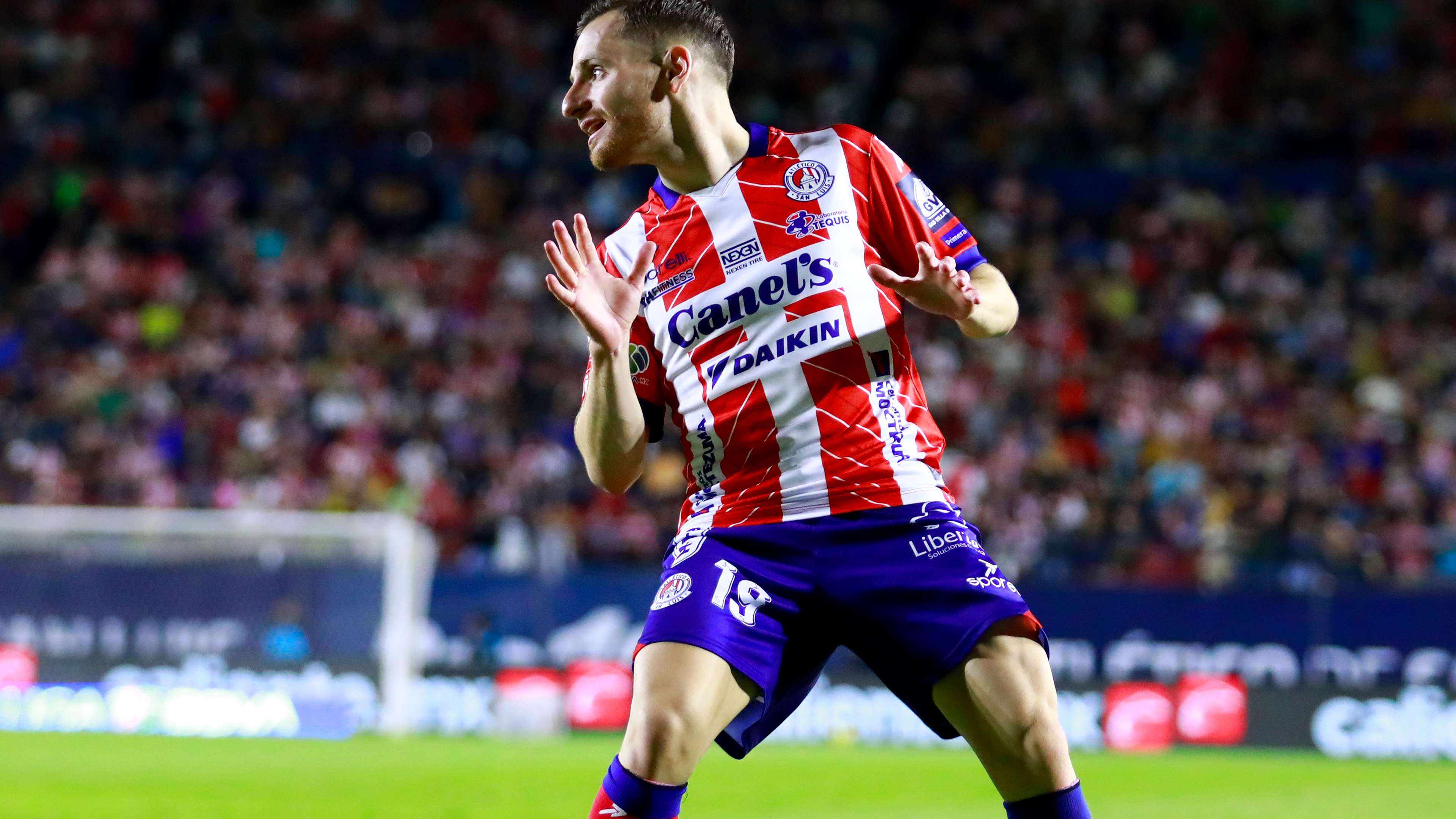 为足球付出 为足球付出