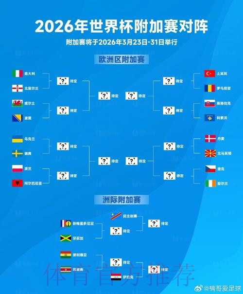 2026世界杯外围稳定最新网址